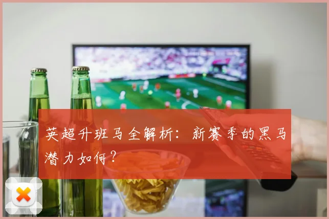 英超升班马全解析:新赛季的黑马潜力如何?