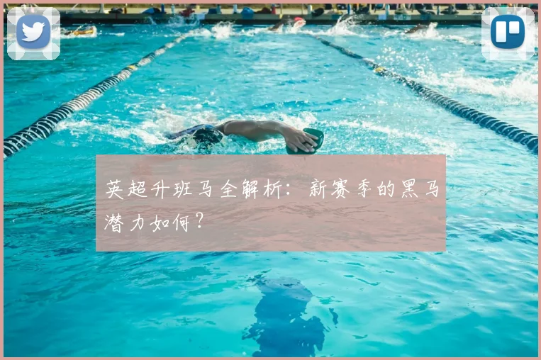 英超升班马全解析:新赛季的黑马潜力如何?